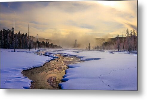 Yellowstone Metal Print featuring the photograph Yellowstone In Winter by Siyu And Wei Photography