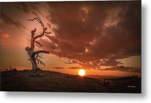 Dramatic Metal Print featuring the photograph Intensity by Tim Bryan