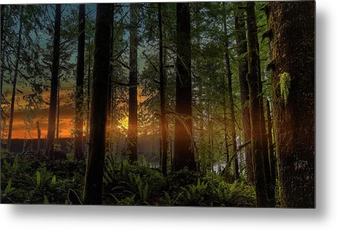 Oregon Coastal Forest Metal Print featuring the photograph Morning Joy #1 by Bill Posner