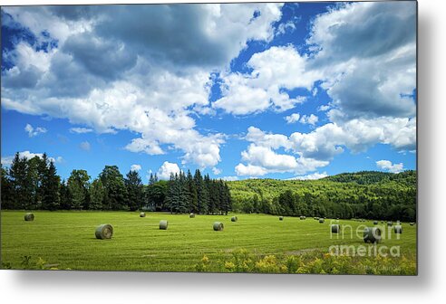 Canada Metal Print featuring the photograph Hay Bales on Roadtrip Canada by Mary Capriole