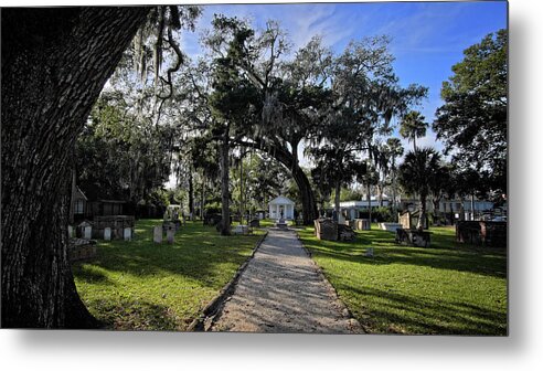Cemetery Metal Print featuring the photograph St. Augustine Cemetery by George Taylor