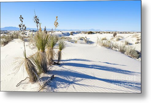 Chihuahuan Desert Metal Print featuring the photograph White Sands Gypsum Dunes #1 by Raul Rodriguez