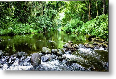 Tropical Forest Pictures Metal Print featuring the photograph Hawaii Scenic Photography 20150717-1293 by Rowan Lyford