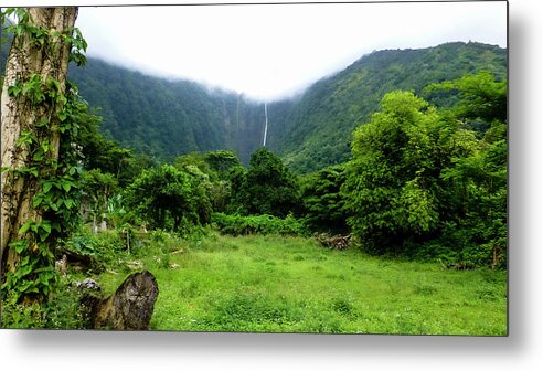 Hawaii Pictures Metal Print featuring the photograph Hawaii Landscape Photography 20150717-1302 by Rowan Lyford
