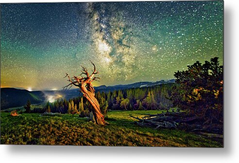 Colorado Metal Print featuring the photograph A Bristlecone Tree Against a Starry Sky. by OLena Art by Lena Owens - Vibrant DESIGN
