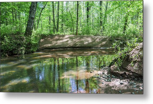 Piedmont National Wildlife Refuge Metal Print featuring the photograph A Deep Forest Green Creek by Ed Williams