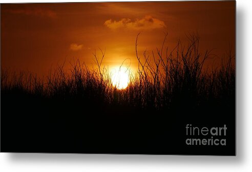 Amazing Sunsets Metal Print featuring the photograph Rolling Golden Ball by On da Raks