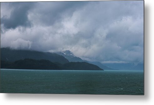 Alaska Metal Print featuring the photograph A Glacier Bay Glide by Ed Williams