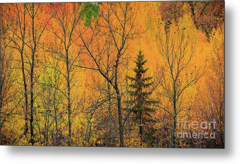 Littlefork Metal Print featuring the photograph Across the River by Lori Dobbs
