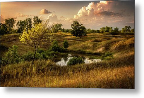Sand Dunes Metal Print featuring the photograph Along the Dunes by Nate Brack