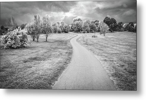 America Metal Print featuring the photograph Arboretum trail BW by Alexey Stiop