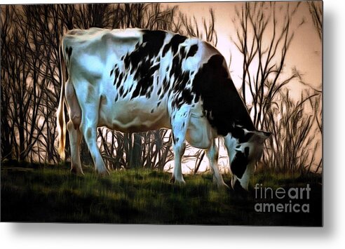 Cow Metal Print featuring the photograph At the End of the Day - Black and White Cow by Janine Riley