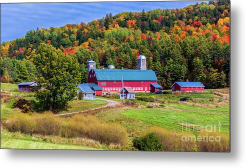 Autumn Metal Print featuring the photograph Autumn in Barnet Vermont by Scenic Vermont Photography