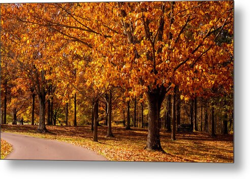 Autumn Metal Print featuring the photograph Autumn Roads by Elsa Santoro