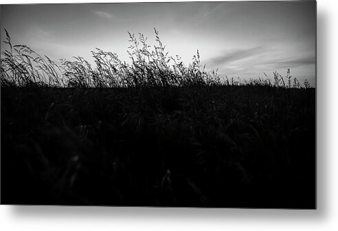 Sand Dunes Metal Print featuring the photograph Beachgrass Sunset Black and White by Pelo Blanco Photo