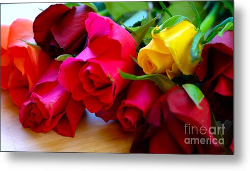Roses Metal Print featuring the photograph Beautiful red, pink, yellow and orange roses, closeup macro. by Milleflore Images