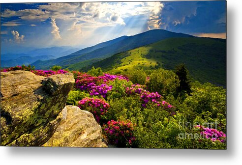 Blue Ridge Parkway Metal Print featuring the mixed media Blue Ridge Parkway Catawba Rhododendrons by Sandi OReilly