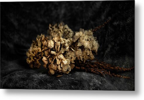 Bouguet Metal Print featuring the photograph Bouquet of dried hydrangea flowers by MPhotographer