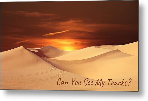 Sand Metal Print featuring the photograph Can You See My Tracks? by Nancy Ayanna Wyatt