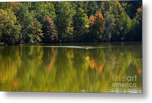 Wny Scenes Metal Print featuring the photograph Come Follow by fototaker Tony