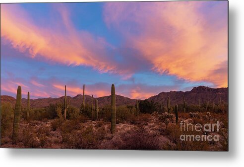 Landscape Metal Print featuring the photograph Desert Sunrise I by Seth Betterly