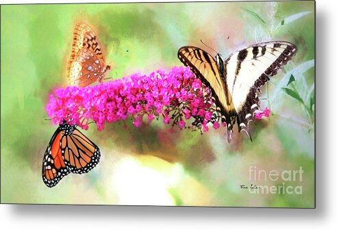 Butterfly Metal Print featuring the mixed media Divine Diversity by Tina LeCour