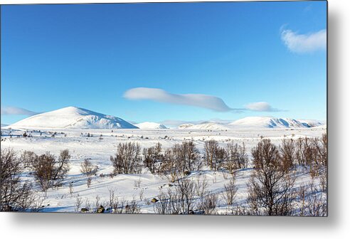 Outdoors Metal Print featuring the photograph Dovrefjell Sunndalsfjella National Park by Andreas Levi