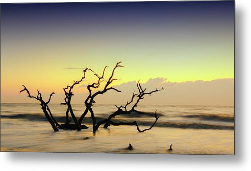 Driftwood Metal Print featuring the photograph Driftwood Sunrise by Karen Cox