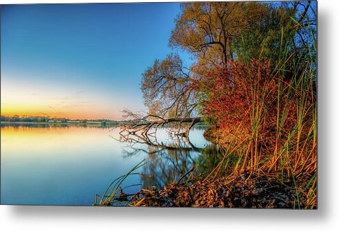 Trees Metal Print featuring the photograph Fallen Tree Reflection by Dee Potter