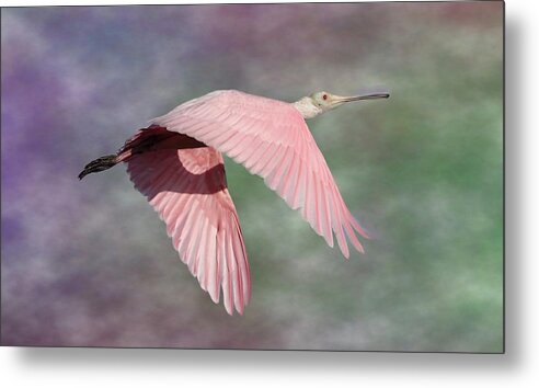 Roseate Spoonbill Metal Print featuring the photograph Fantasy World by Mingming Jiang