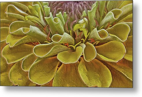 Flower Metal Print featuring the photograph Flower Whorls by Dennis Baswell