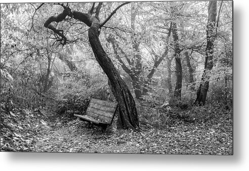 Black Metal Print featuring the photograph Forest Embrace Black and White by Debra and Dave Vanderlaan