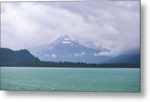 Alaska Metal Print featuring the photograph Glacier Bay Mountain Majesty by Ed Williams