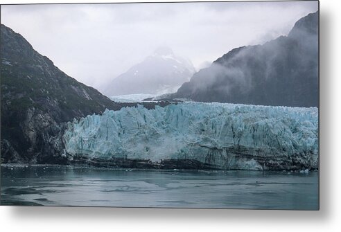 Glacier Bay National Park Metal Print featuring the photograph Glacier Bay Natural by Ed Williams