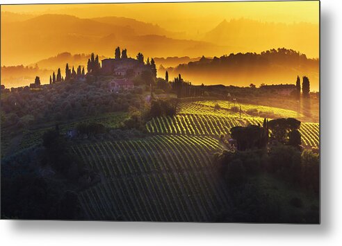 Italy Metal Print featuring the photograph Golden Tuscany by Evgeni Dinev