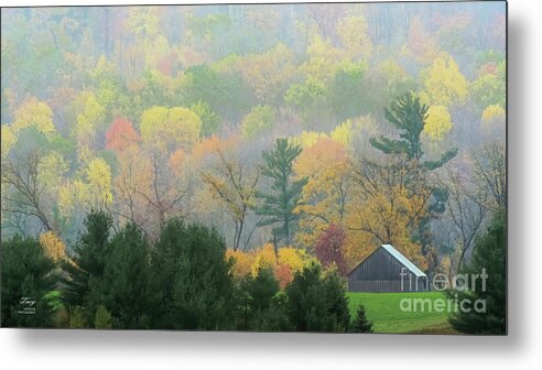 Trees Metal Print featuring the photograph Hidden Shed by Trey Foerster