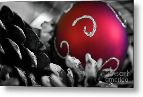 Holidays Metal Print featuring the photograph Home for the Holidays by Doug Sturgess