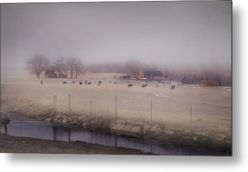 Homestead Metal Print featuring the photograph Homestead by Laura Terriere