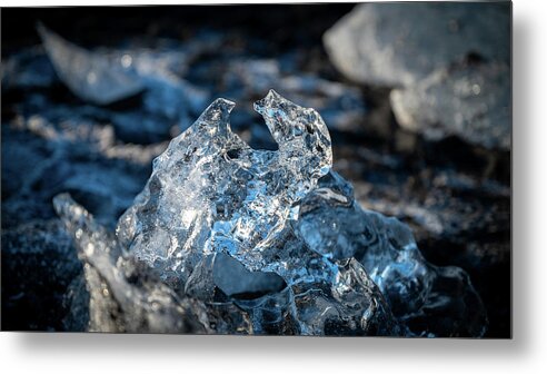 Iceland Metal Print featuring the photograph Iceland Little Ice Bear by William Kennedy