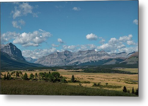 Landscape Metal Print featuring the photograph Landscape in the Alberta Rockies by Karen Rispin