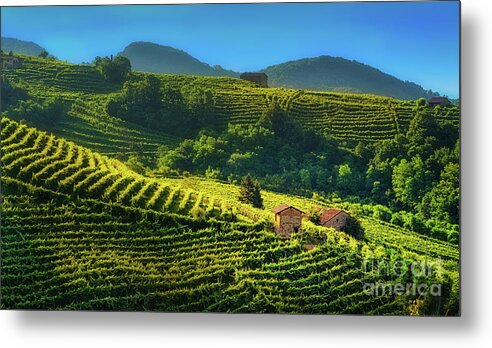 Prosecco Metal Print featuring the photograph Little houses in the vineyard by The P
