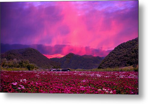 Magenta Metal Print featuring the photograph Magenta Mountain Sunset by Ally White