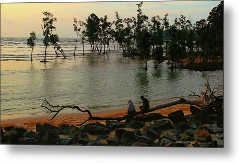 Mangrove Metal Print featuring the photograph Mangrove Landscape by Robert Bociaga