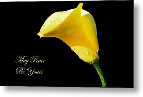 Peace Metal Print featuring the photograph May Peace Be Yours by Nancy Ayanna Wyatt