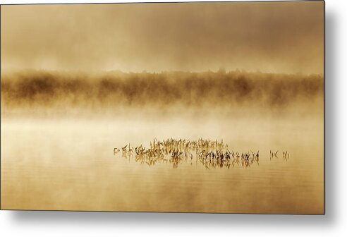 Fog Metal Print featuring the photograph Morning Mist 4154 by Greg Hartford