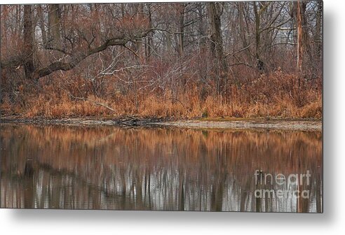Celebrate Trees Metal Print featuring the photograph Nature's Chaos is Our Beauty by fototaker Tony