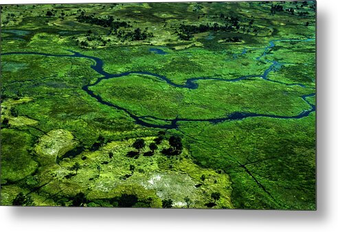 Africa Metal Print featuring the photograph Okawango #2 by Stefan Knauer