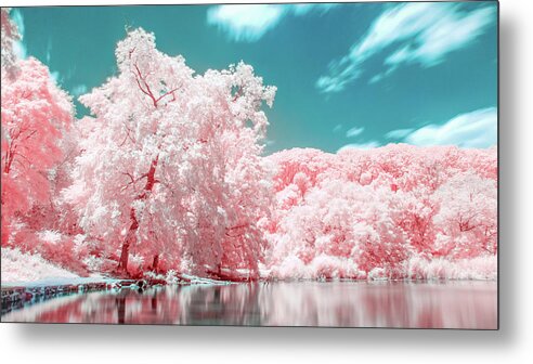 Infrared Metal Print featuring the photograph Otherworldly Park in Brooklyn by Auden Johnson
