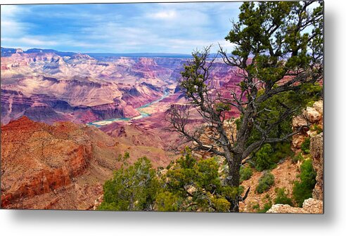 Grand Canyon Metal Print featuring the photograph Patience by Jason Judd
