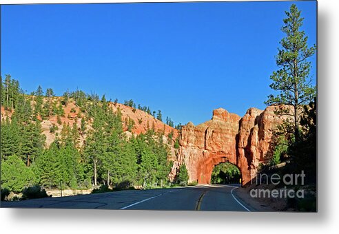 Red Canyon Arch Metal Print featuring the photograph Red Canyon Arch by Amazing Action Photo Video